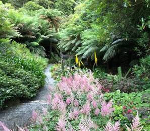 Terrain de l’hébergement 