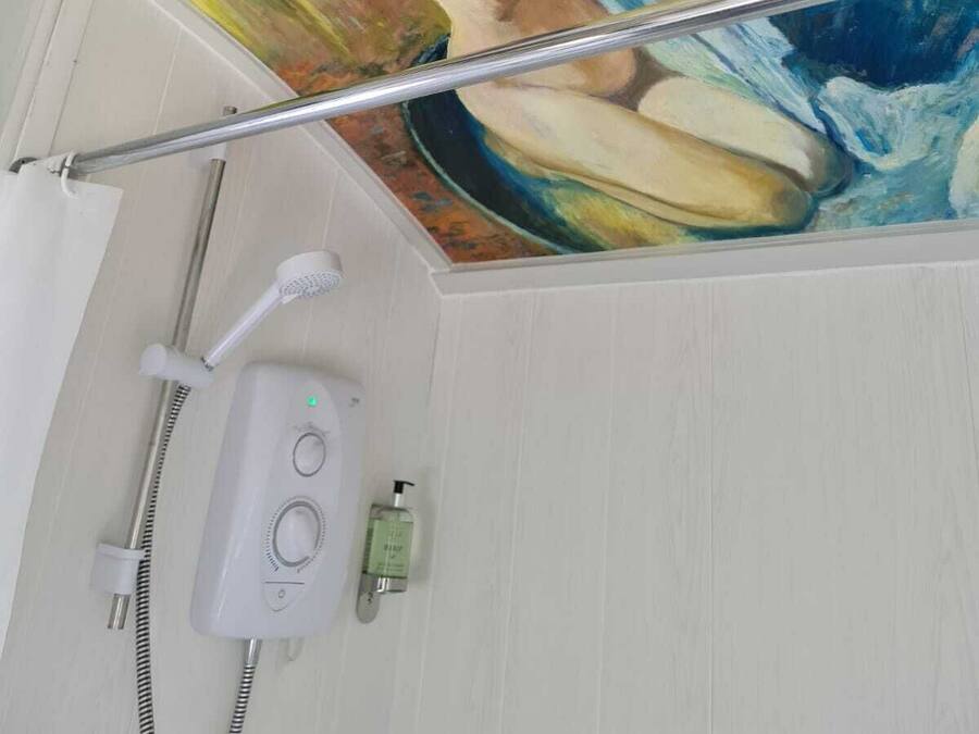 Un baño con un mural en el techo que representa una figura desnuda, cabezal de ducha y ducha de mano.