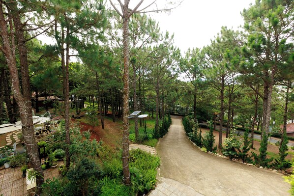 A paved pathway through a forested area with trees and greenery. - Gia An Hotel Dalat (Da Lat)