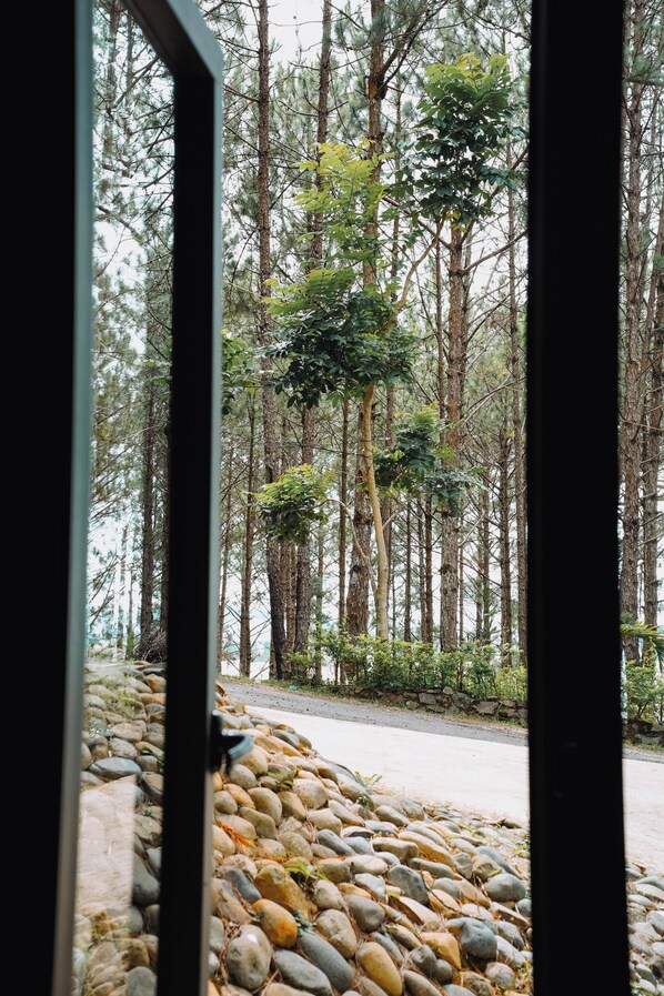 Familierom, balkong, hageutsikt | Terrasse/patio