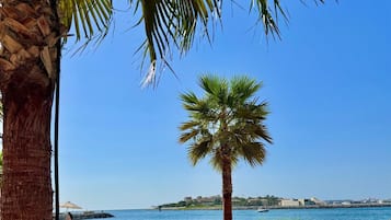 Playa en los alrededores