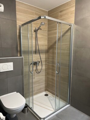 Shower, hair dryer, soap, toilet paper