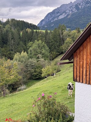Property grounds - Large mountain house in Mitterberg near Hauser Kaibling (Mitterberg)