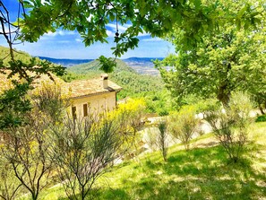 Property grounds - Villa Sole Vini in the Heavenly Heart of Umbria on Top of the World sleeps 50 (Santa Maria)