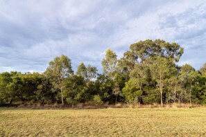 Unclassified image, 2 of 29, button - Modern 3B2B1C Home in Doreen (Mernda)