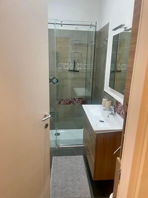 Shower, hair dryer, bidet, towels