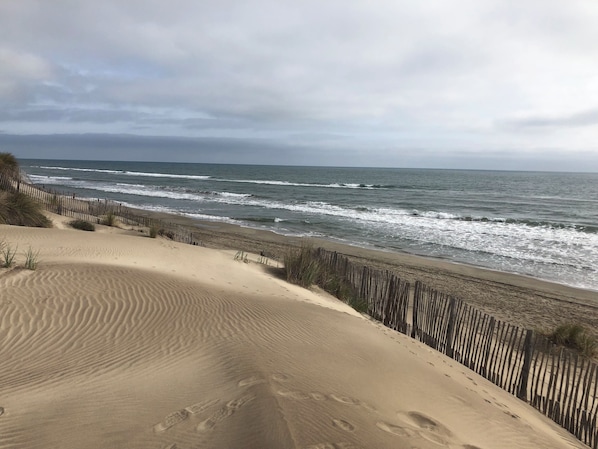 A beach with sand dunes and a wooden fence.