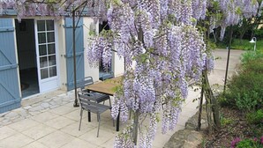 Une terrasse avec une table et des chaises, une porte bleue et un arbre de glycine.