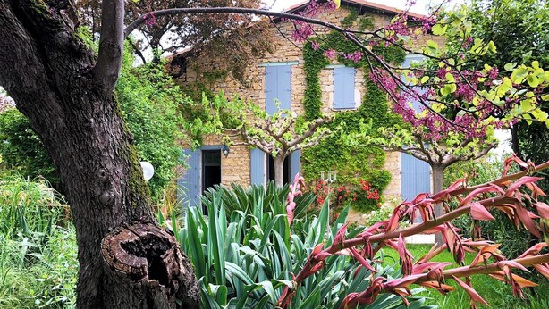 Un bâtiment en pierre avec des volets bleus, entouré d’une végétation luxuriante et de plantes en fleurs.