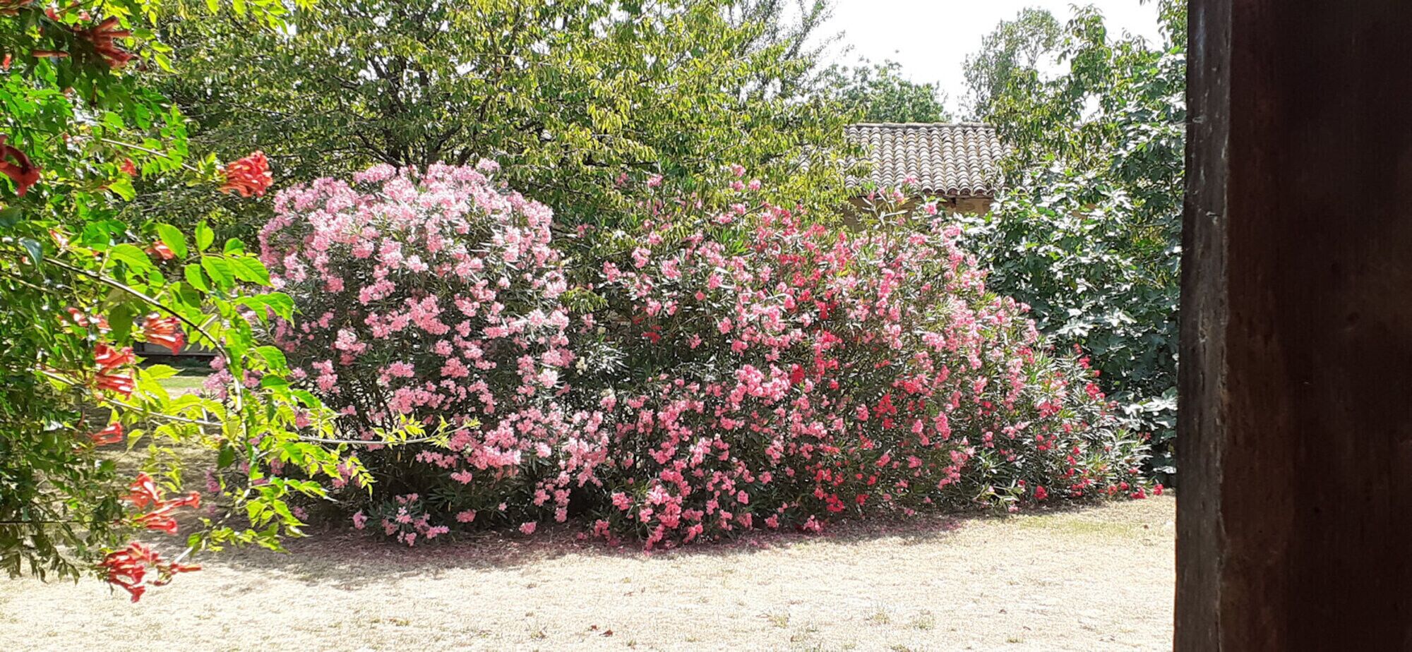 Parco della struttura
