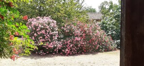 Property grounds - Guest Room "La Petite" with Shared Garden and Wi-Fi (Léguevin)