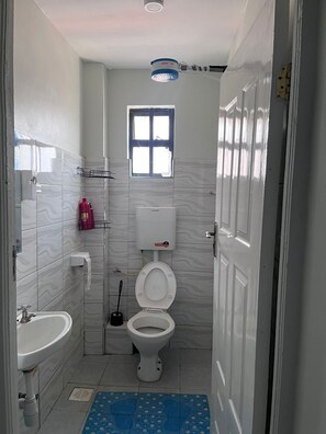 Dusche, Handtücher, Seife, Toilettenpapier