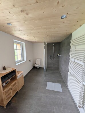 Hair dryer, towels, soap, toilet paper - Panoramic Views & Appenzell Charm: Your Spacious Retreat (Appenzell)