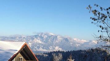 Desk, laptop workspace, soundproofing, free WiFi