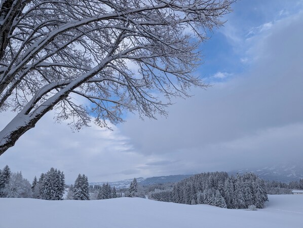 A snowy landscape with bare trees and a clear sky. - Hotel Bergstätter Hof (Immenstadt im Allgaeu)