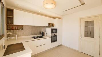 Fridge, microwave, oven, stovetop