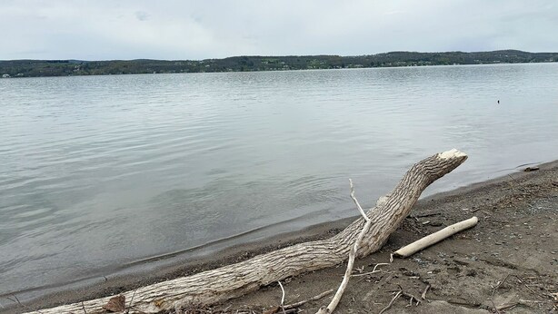 Un lac paisible, offrant une vue dégagée sur les collines lointaines, et dont les rives sont parsemées de bois flotté.