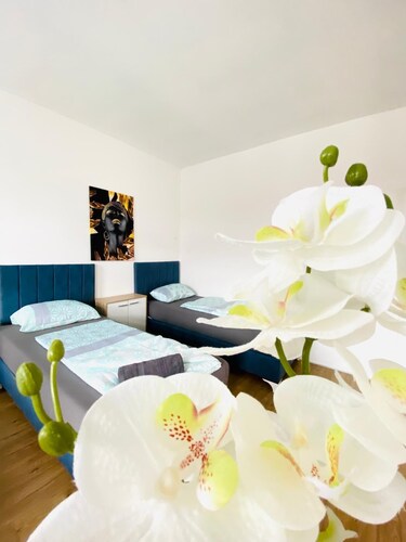 4BR Apartment for 15 Near Danube