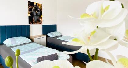 4BR Apartment for 15 Near Danube