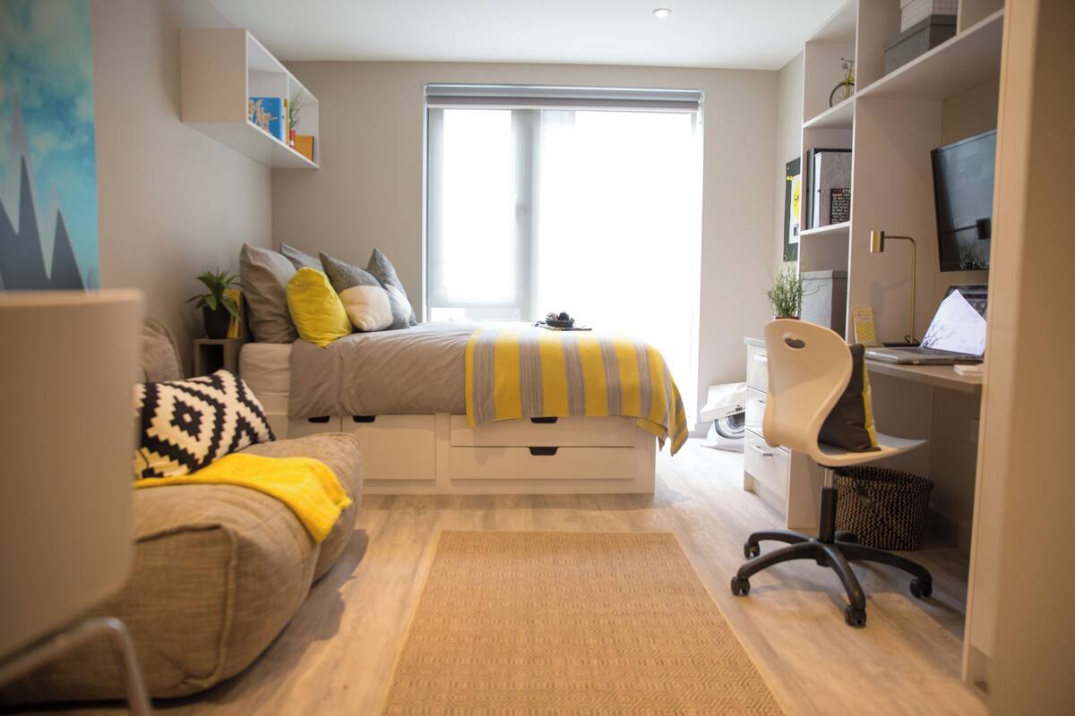 إستديو | واي فاي مجانًا