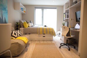 إستديو | واي فاي مجانًا