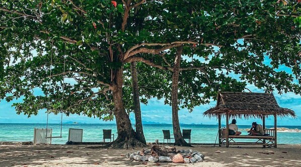 A beach with a large tree providing shade, a small hut, and several chairs.