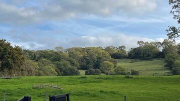 Room, 2 Bedrooms, Smoking | Exterior