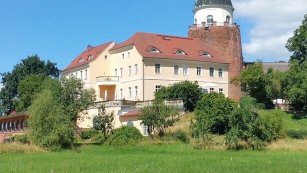 Un grand bâtiment doté d’une tour et d’un dôme imposants, entouré de verdure et d’arbres.