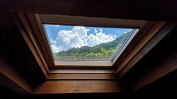 Panoramic Apartment, 2 Bedrooms, Mountain View | Blackout drapes, iron/ironing board, free WiFi