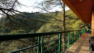 A wooden deck with a green railing overlooking a forested area.