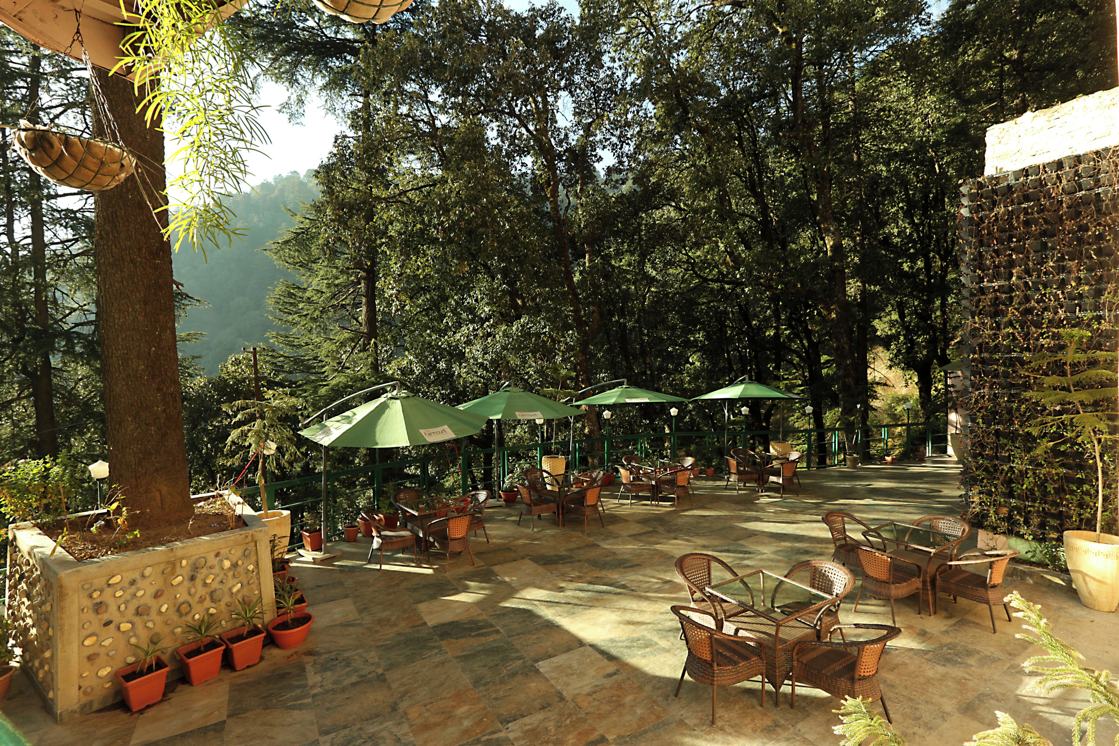 Terras