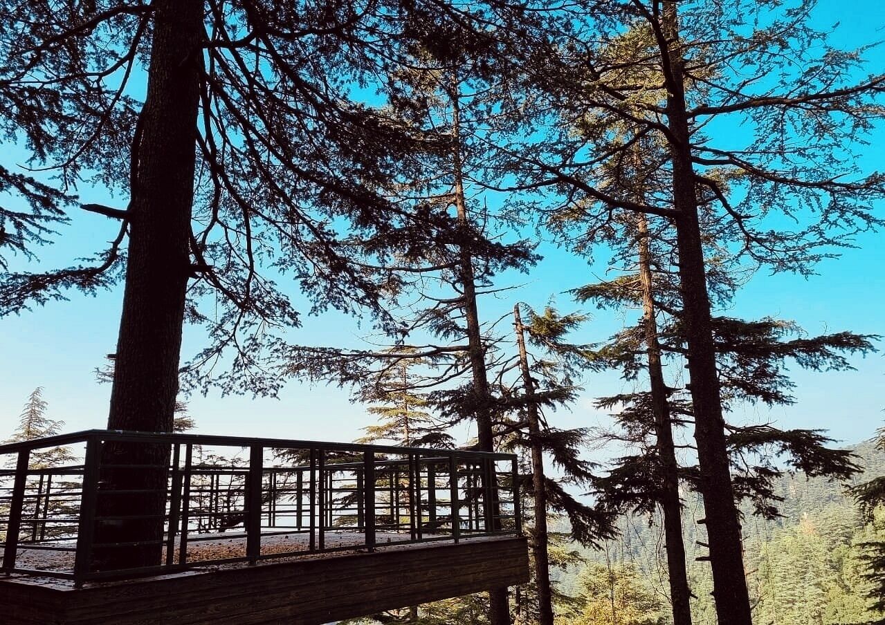 Güneşlenme verandası