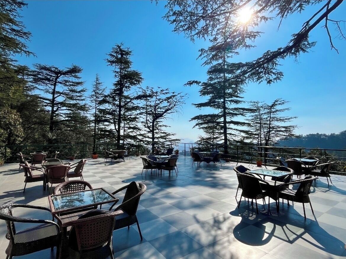An outdoor cafe with tables and chairs, surrounded by tall trees and a clear sky.