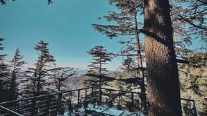 Una terrazza con posti a sedere all'aperto e un parapetto, immersa tra alberi alti e un cielo sereno.