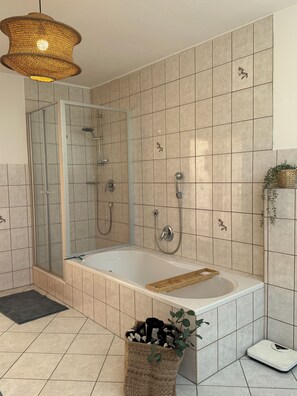 Assecador de cabells, tovalloles, sabó i xampú 