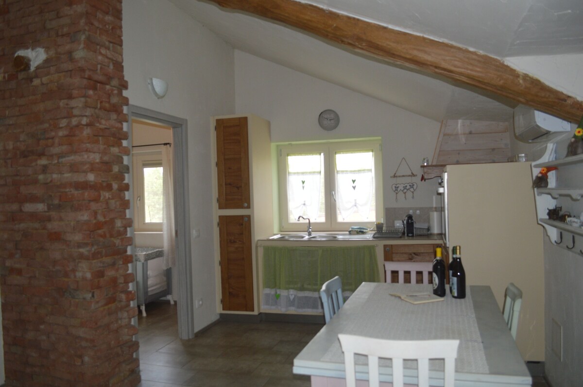 Imagen de perfil del propietario o de la propietaria