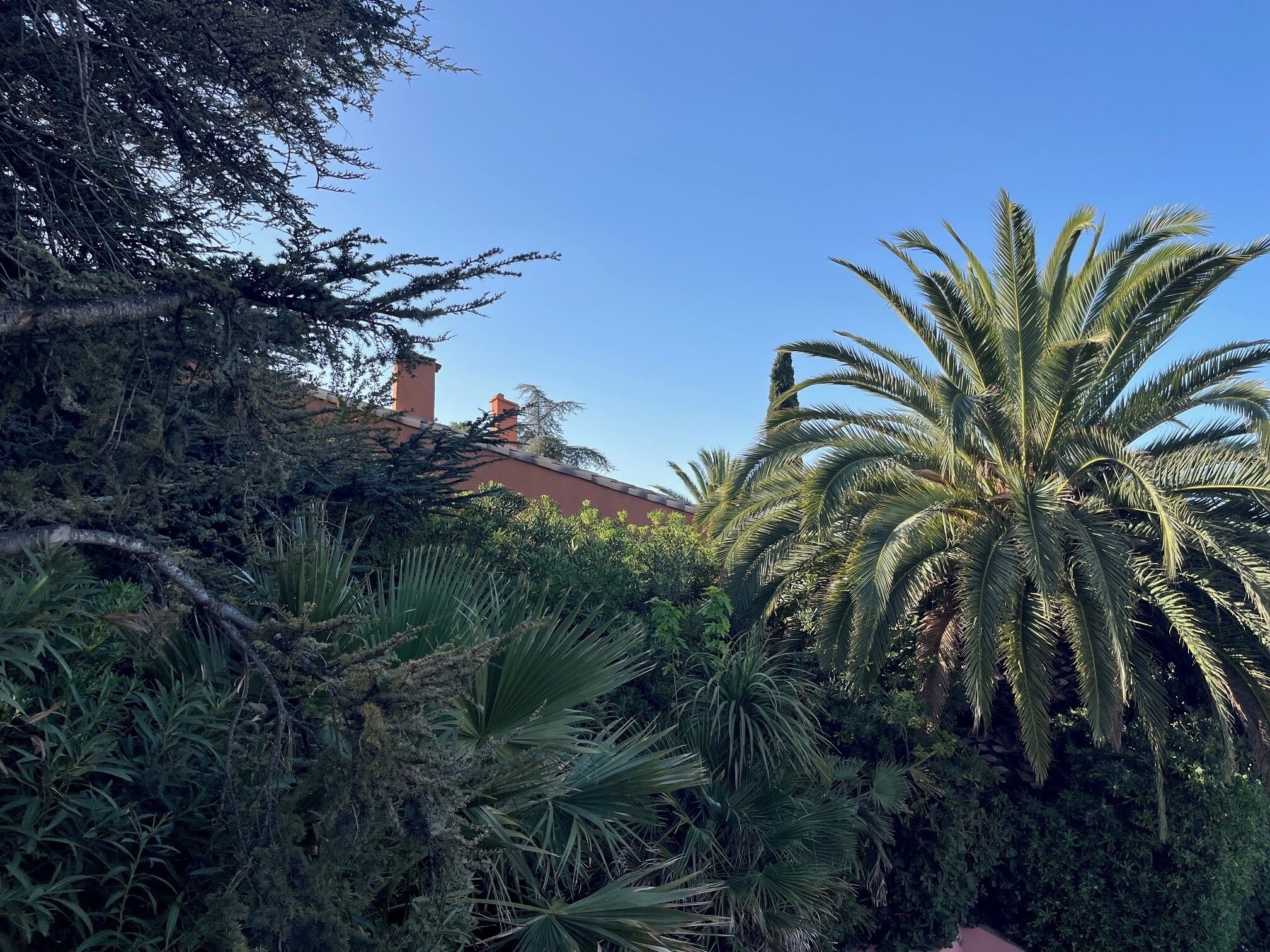 A lush garden with various tropical plants and a building with red brick walls and chimneys in the background.