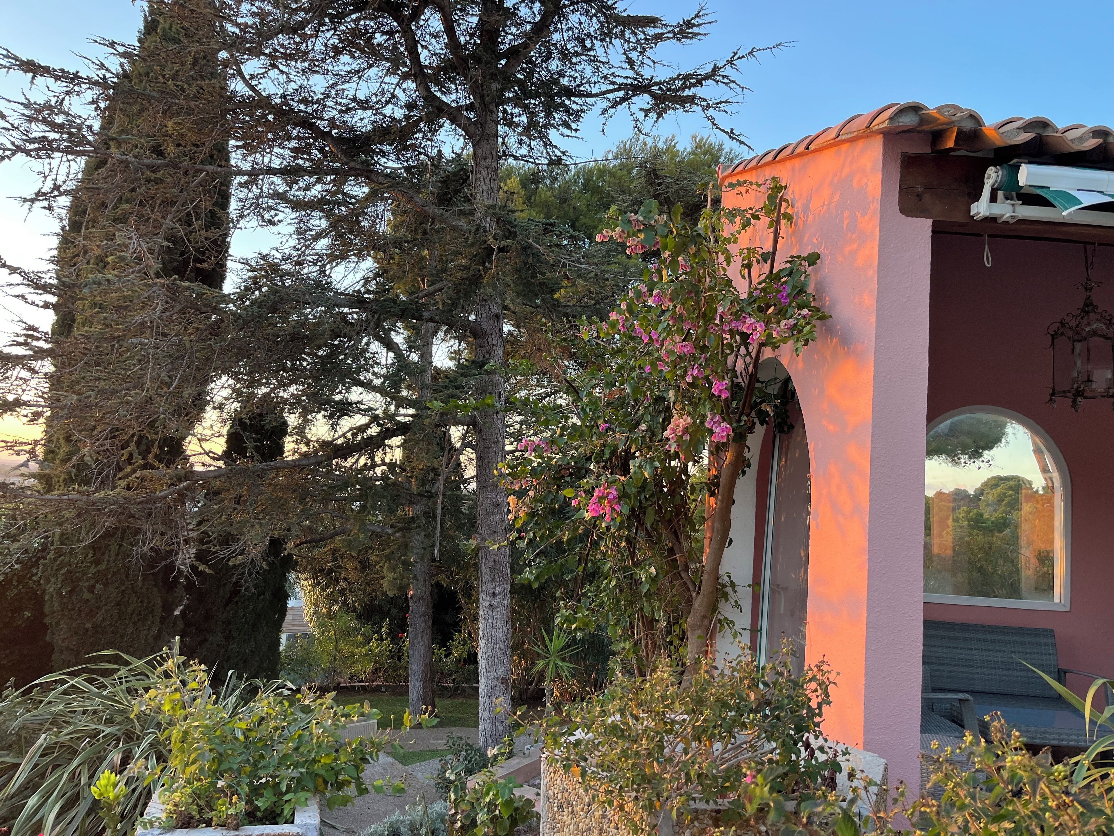 A building with a pink exterior, a window, and a garden with various plants and trees.