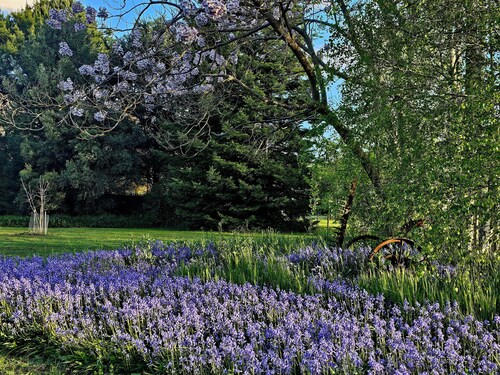 Peaceful High Country Farm Stay with Stunning Mountain Views and River Front