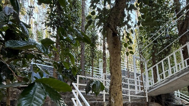 Eine Treppe aus Beton mit weißen Geländern, umgeben von üppigem Grün und Bäumen.