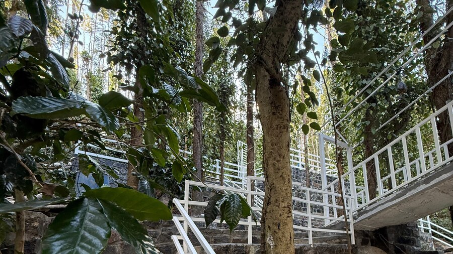 Green Haven Resort