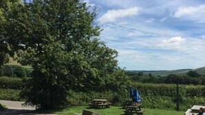 A picnic area with tables and benches, surrounded by greenery and a large tree. - Rambler Inn (Hope Valley)