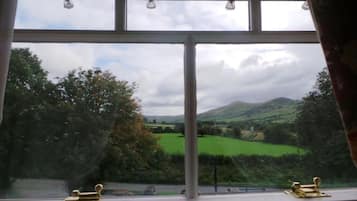 Desk, blackout curtains, iron/ironing board, free WiFi