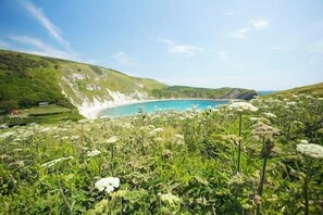 Eine Küstenlandschaft mit Strand, Wiesen und blauem Himmel.