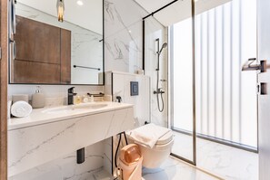 Regadera, secadora de cabello, bidet, toallas
