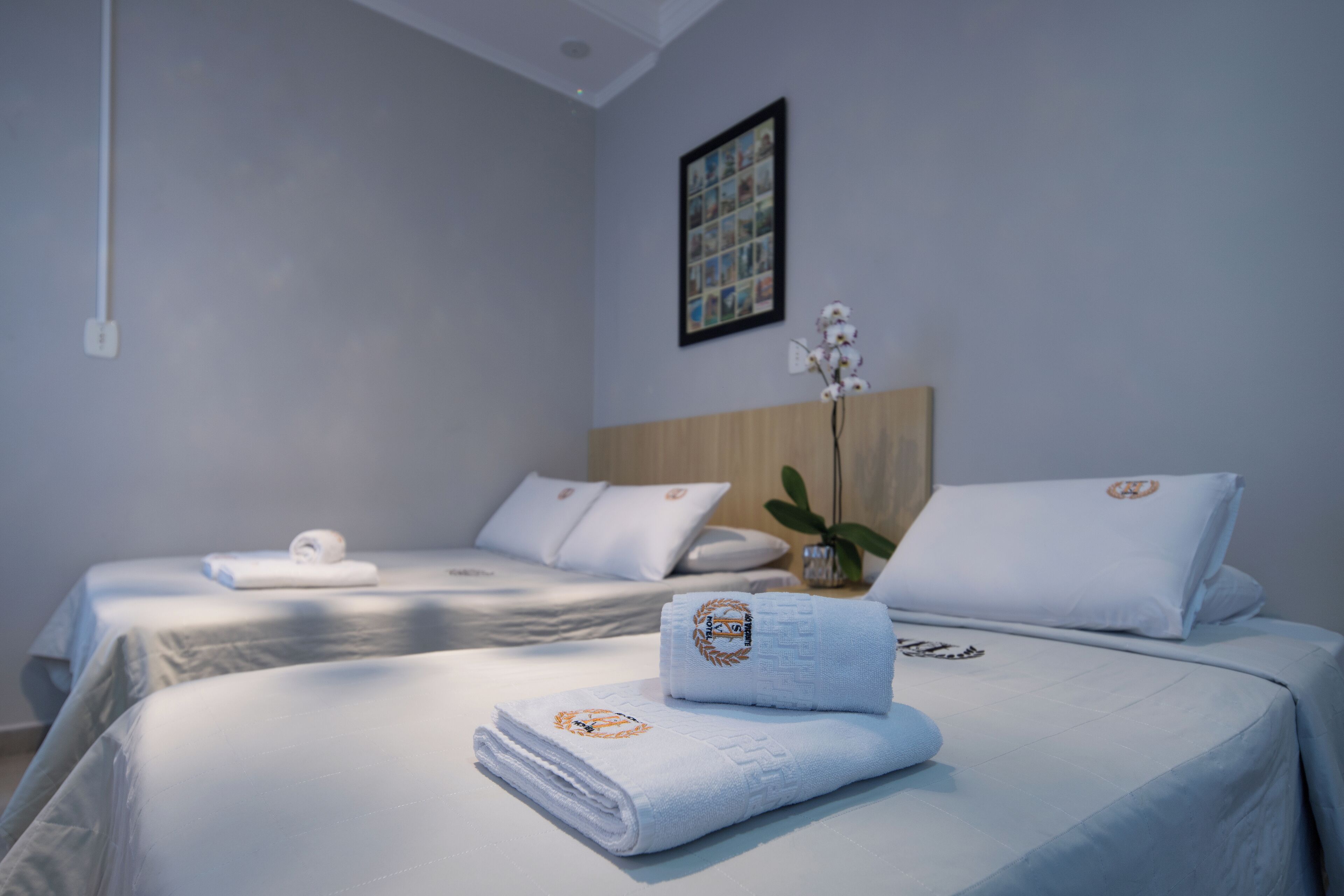 Standard Triple Room | Desk, laptop workspace, free WiFi