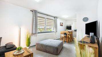 Fernseher, Stereoanlage