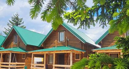 Green top Mountain Chalet with Durmitor View