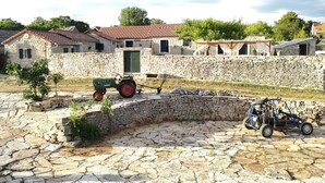 Property grounds - Juniper Stone Cottage by Villas Guide (Benkovac)