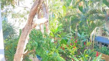 Apartment, 2 Bedrooms, Balcony | Garden